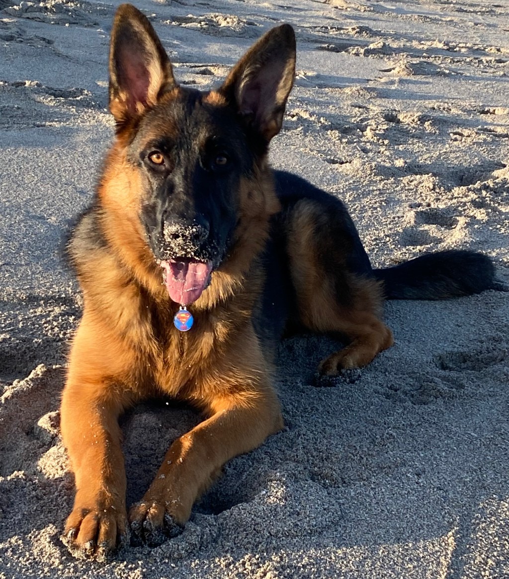 Grievances of the&nbsp;soma