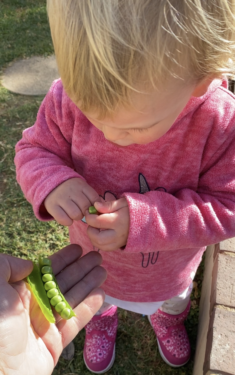 The monkey and the&nbsp;peas