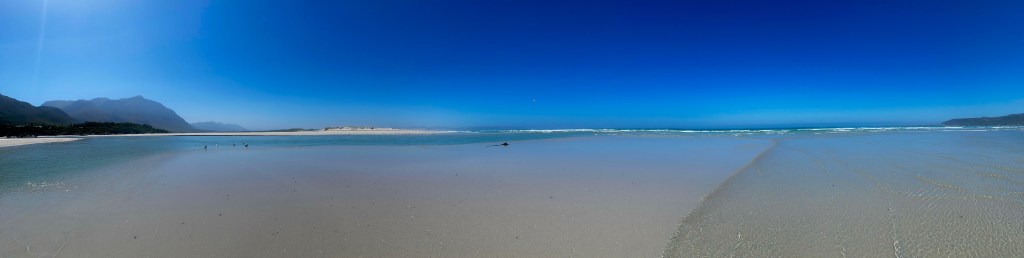 Haai in de&nbsp;baai