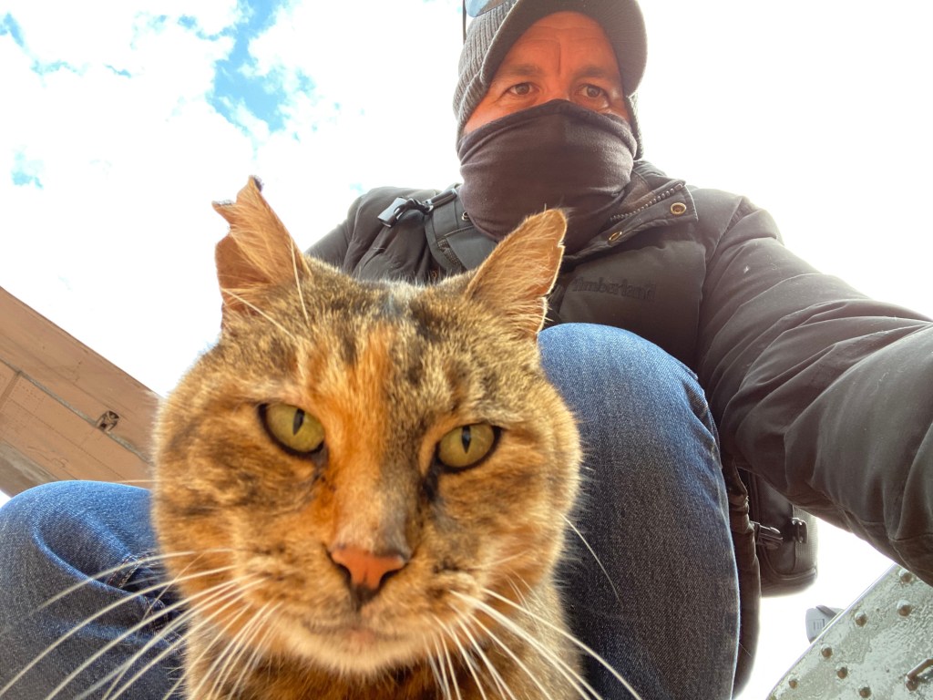 Foxholes, Forests and&nbsp;Felines